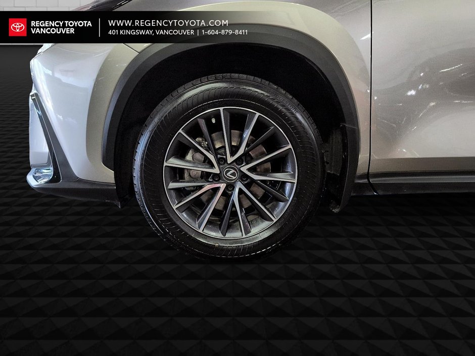 2022 Lexus NX 350h-1