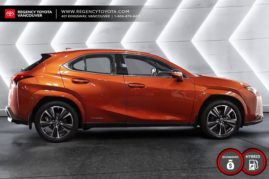 2022 Lexus UX 250h-18