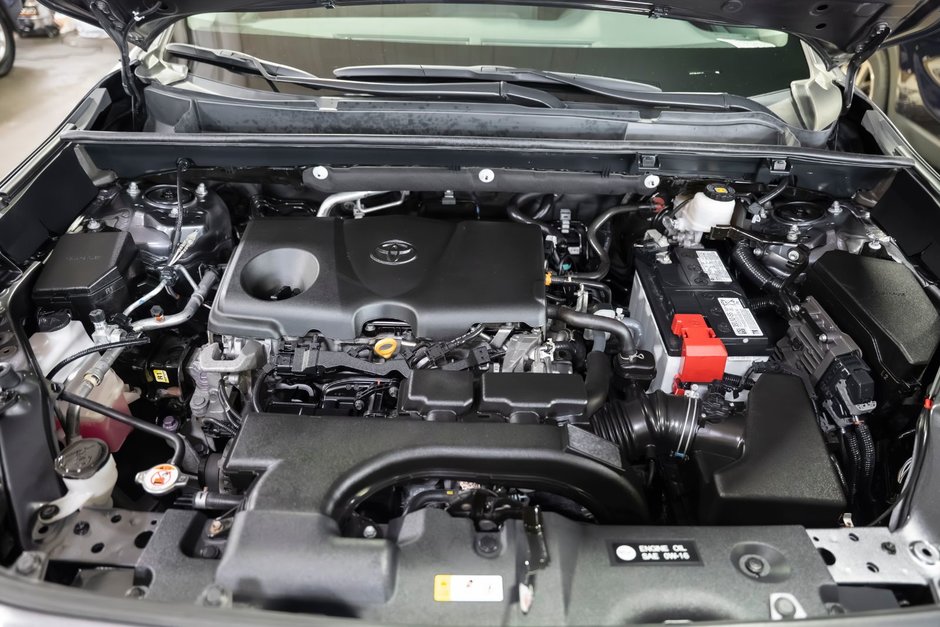 2021 Toyota RAV4 LE AWD LE-20