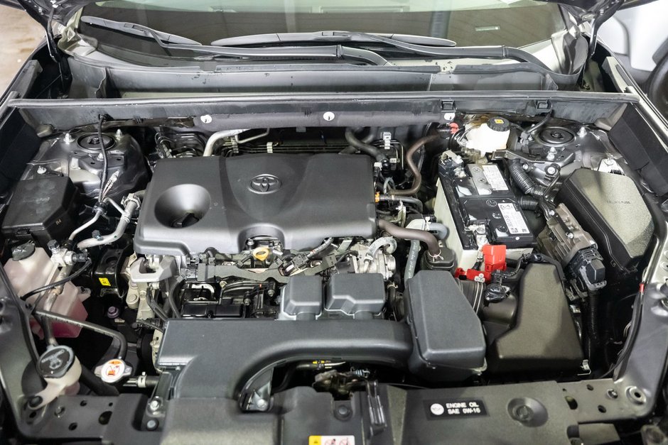 2022 Toyota RAV4 LE-19