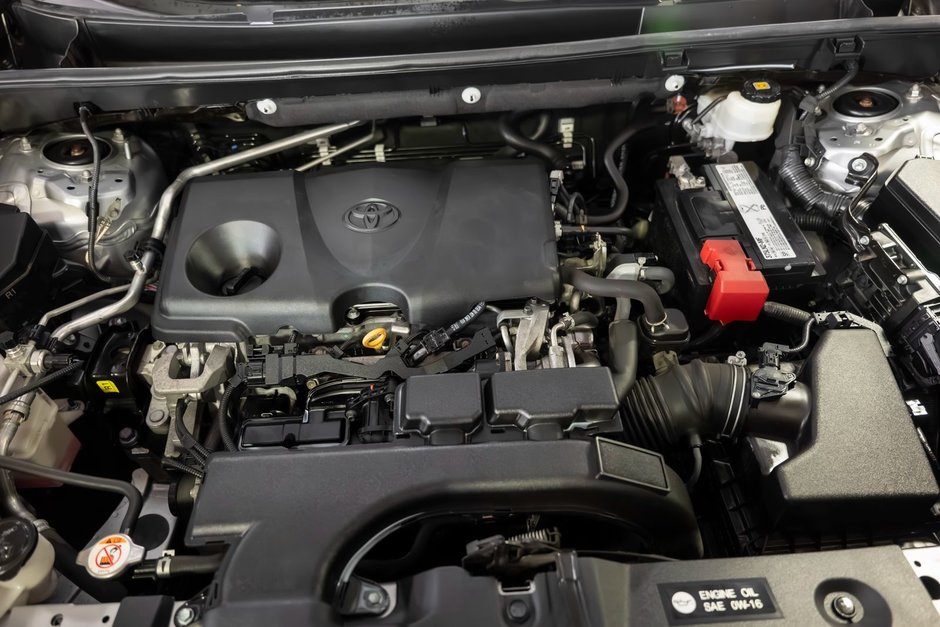 2019 Toyota RAV4 XLE FWD-7