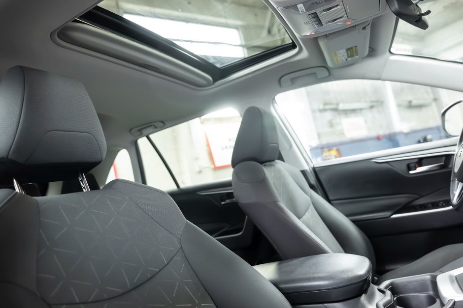 2019 Toyota RAV4 XLE FWD-19