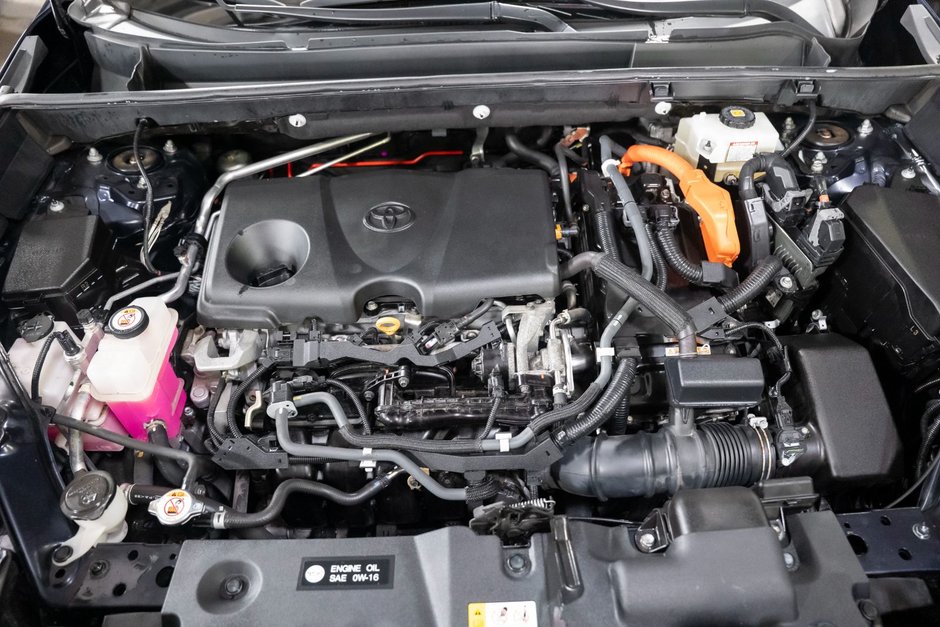 2020 Toyota RAV4 Hybrid XLE-20