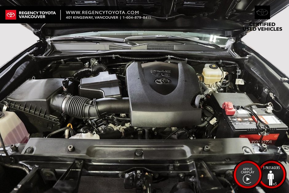 2021 Toyota TACOMA TRD PRO-20