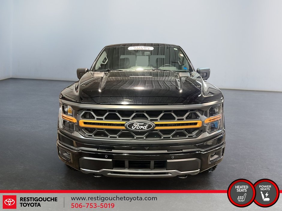 2025 Ford F-150 Tremor-1