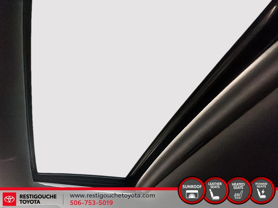 2019 Toyota Highlander XLE-14