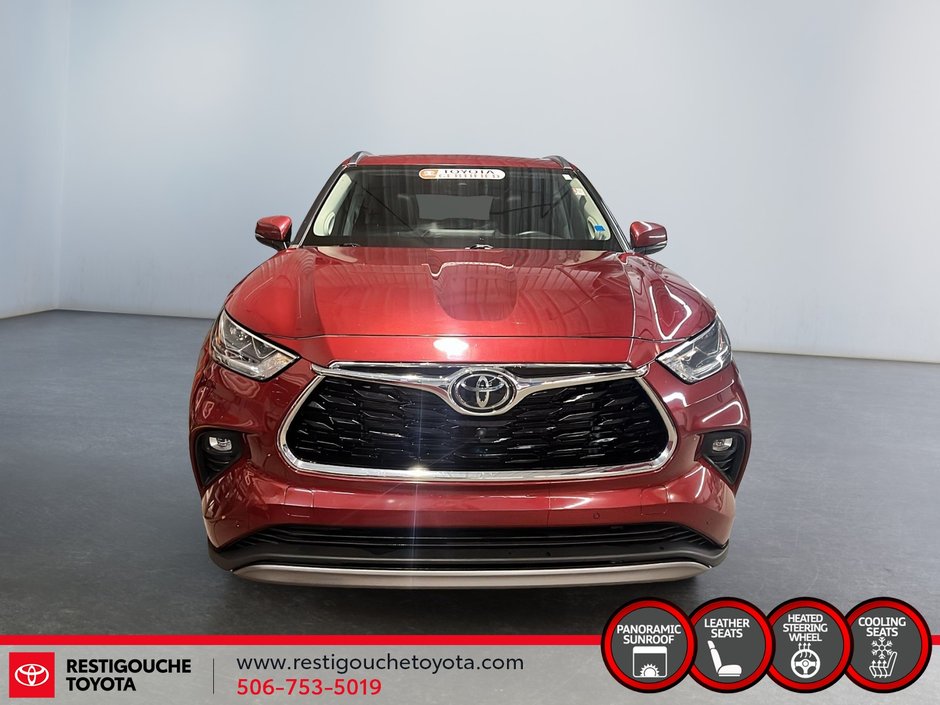 Toyota Highlander Limited 2022-1