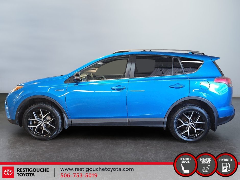 2017 Toyota RAV4 Hybrid SE-4
