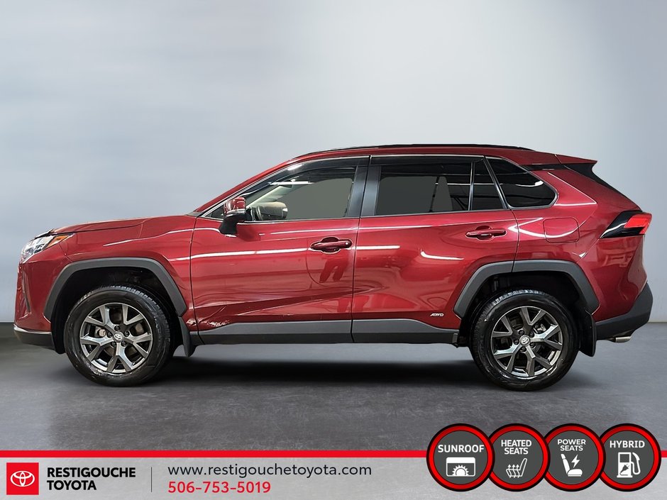 Toyota RAV4 Hybrid XLE 2023-4