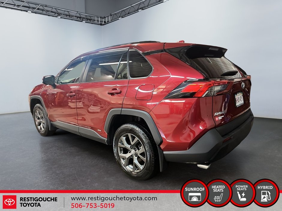 Toyota RAV4 Hybrid XLE 2023-3