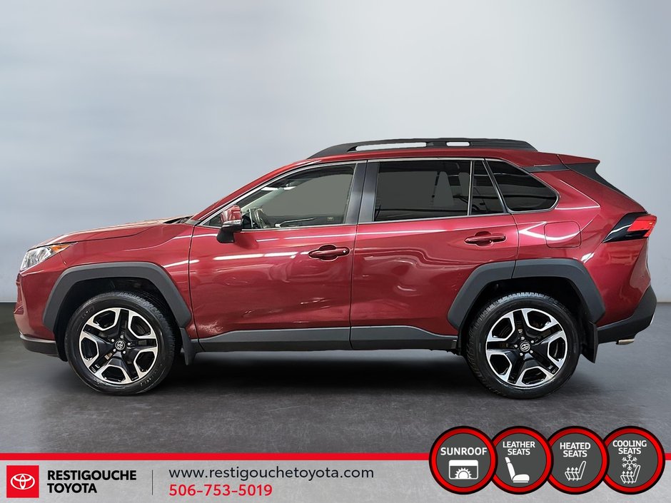 Toyota RAV4 Trail 2019-4