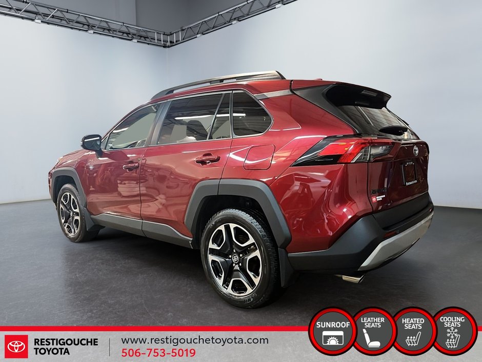 Toyota RAV4 Trail 2019-3
