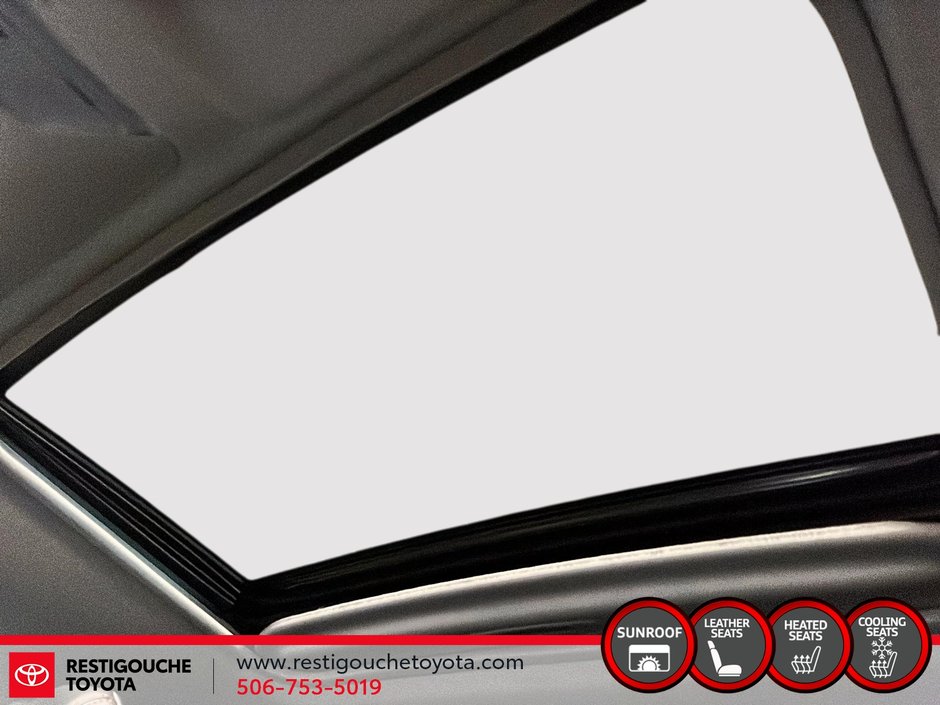 Toyota RAV4 Trail 2019-14