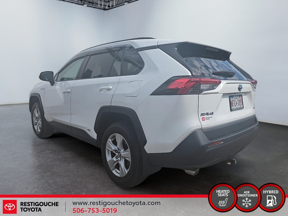 2019 Toyota RAV4 Hybrid LE-3