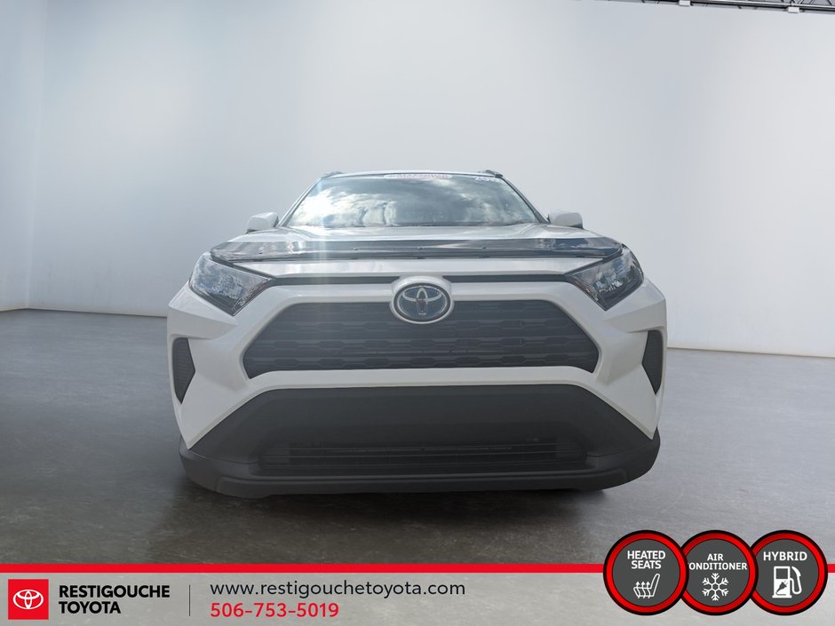 2019 Toyota RAV4 Hybrid LE-1