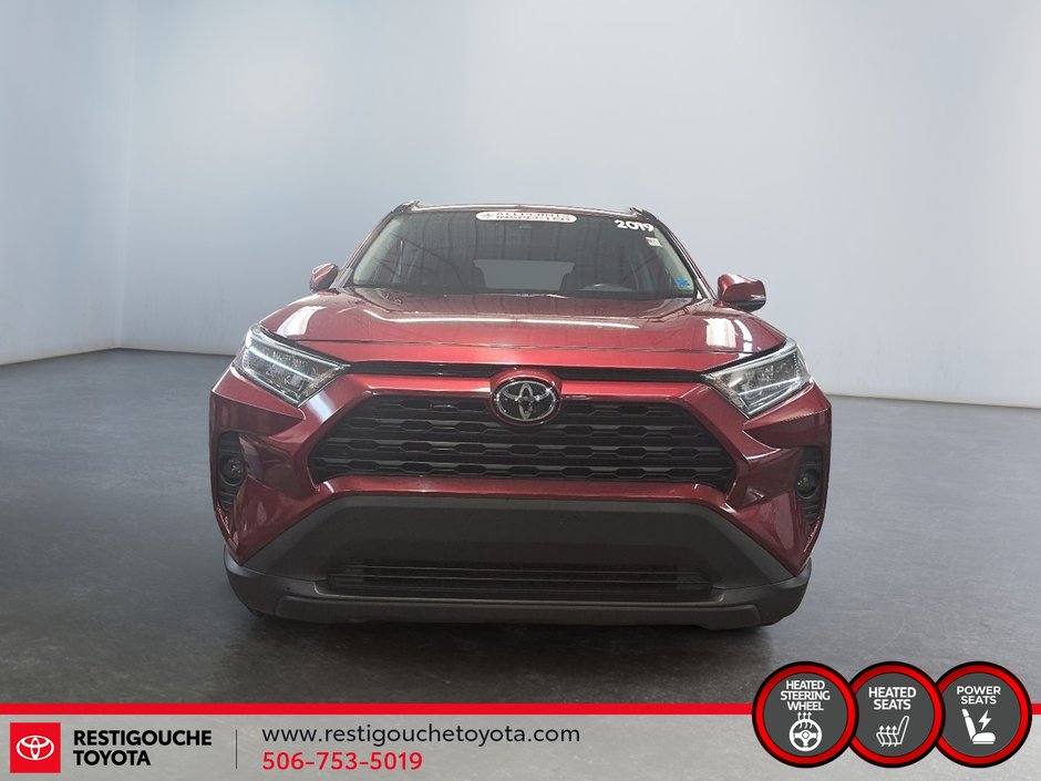2019 Toyota RAV4 XLE-1