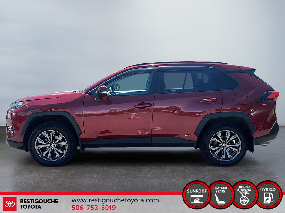 Toyota RAV4 Hybrid XLE 2023-4
