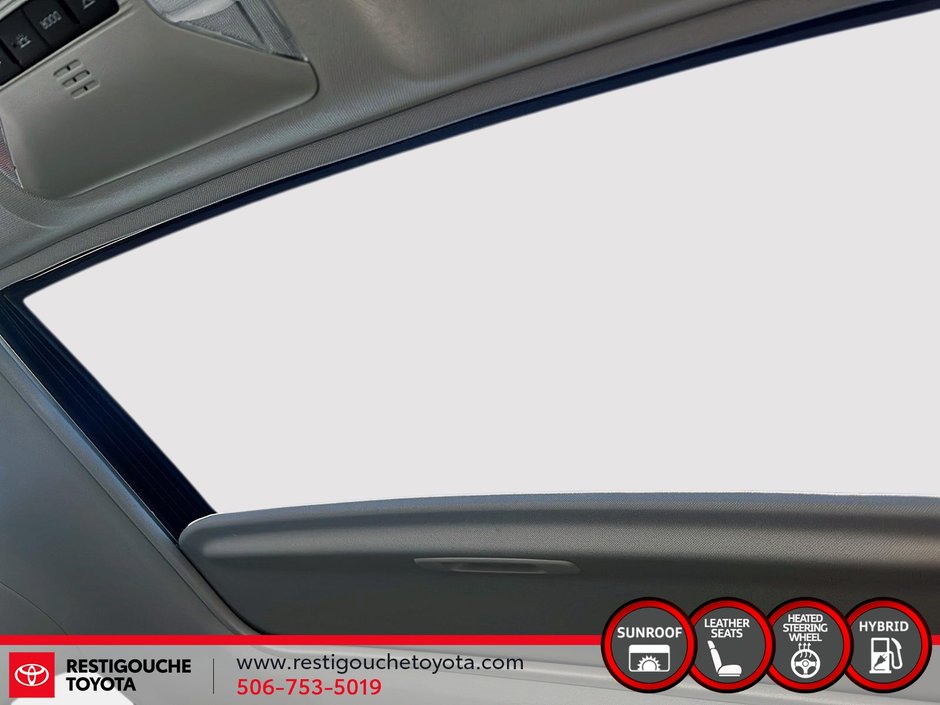 Toyota RAV4 Hybrid XLE 2023-14