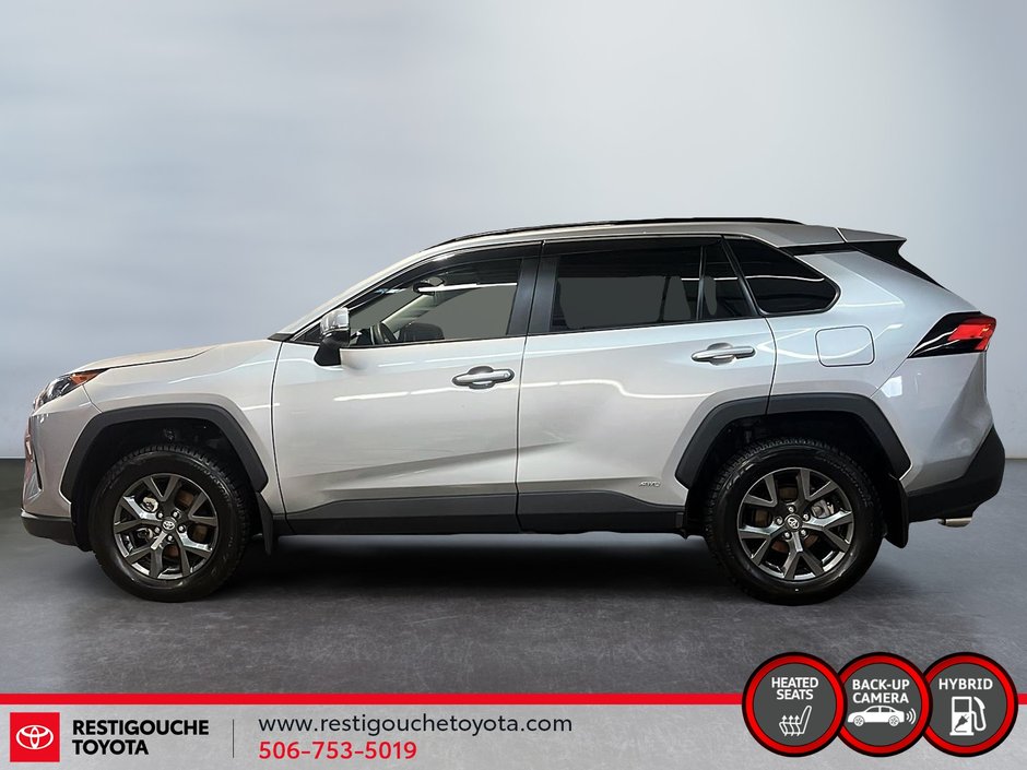 2025 Toyota RAV4 Hybrid LE-4