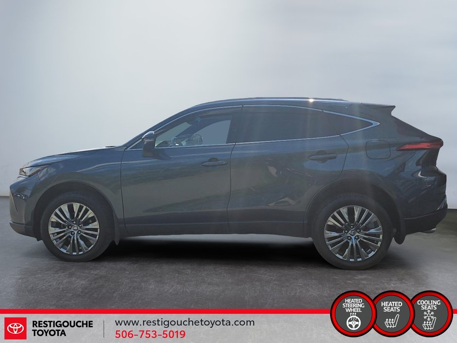 2023 Toyota Venza XLE-4