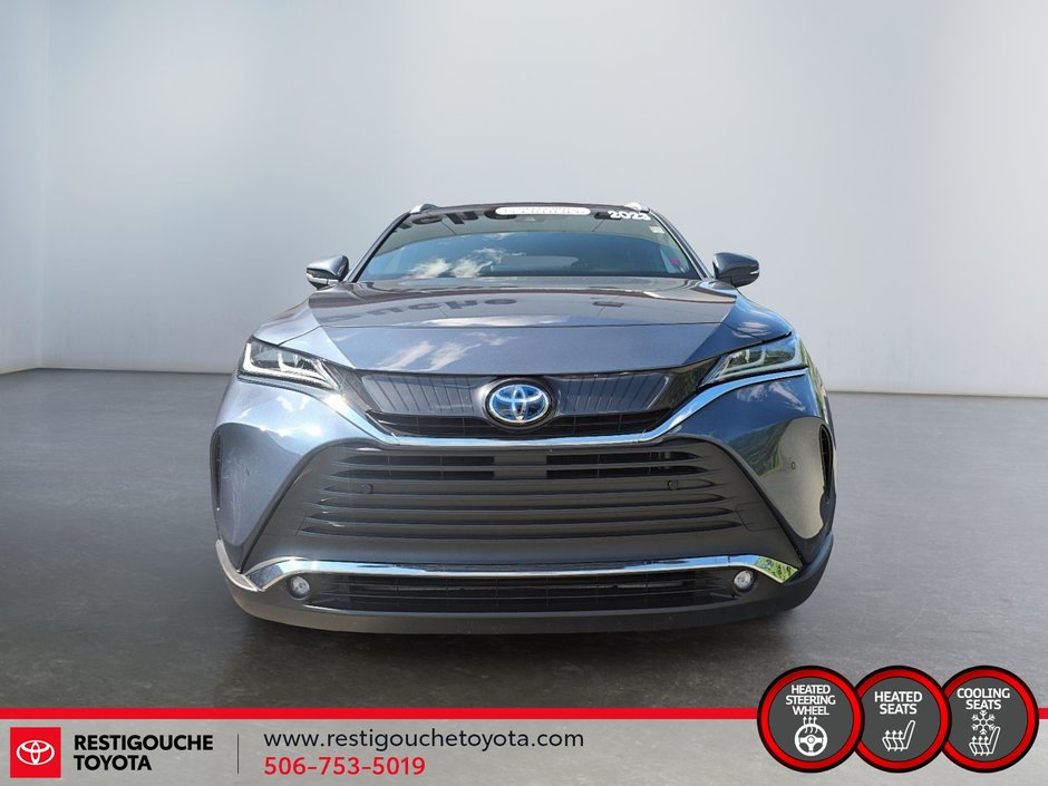 2023 Toyota Venza XLE-1