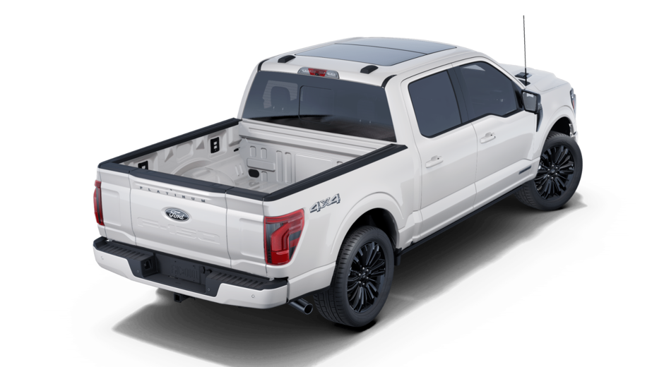 2025 Ford F-150 HYBRID PLATINUM-2