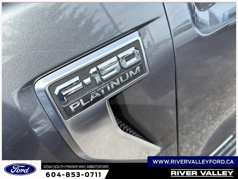 2024 Ford F-150 Platinum-8