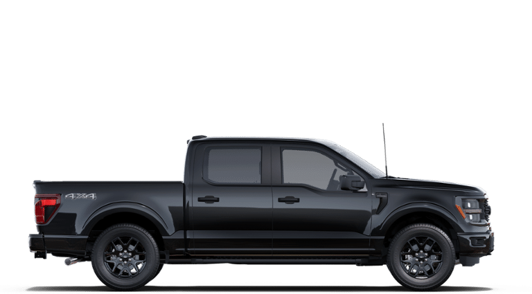 2025 Ford F-150 STX®-4