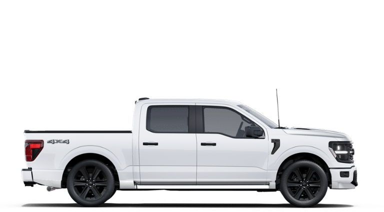 2025 Ford F-150 STX®-4
