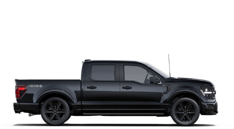 2025 Ford F-150 STX®-4