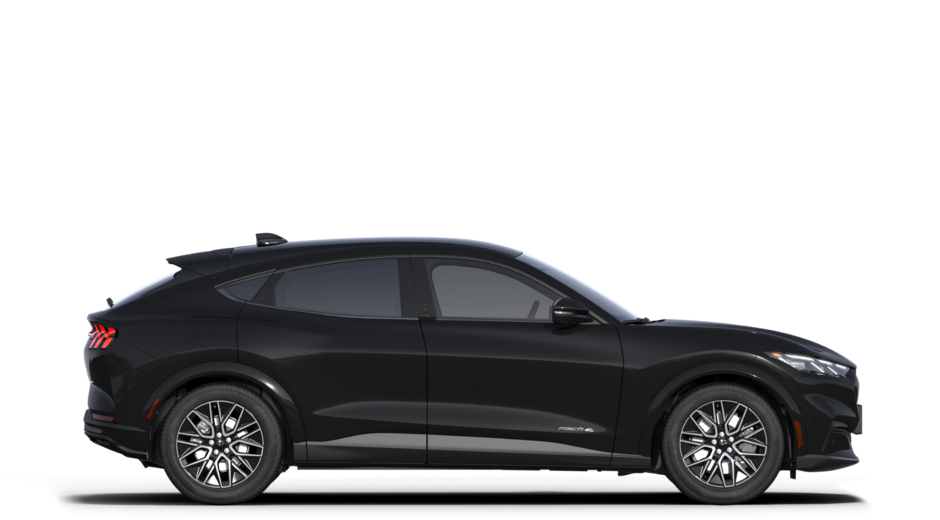 2025 Ford Mache Premium-4
