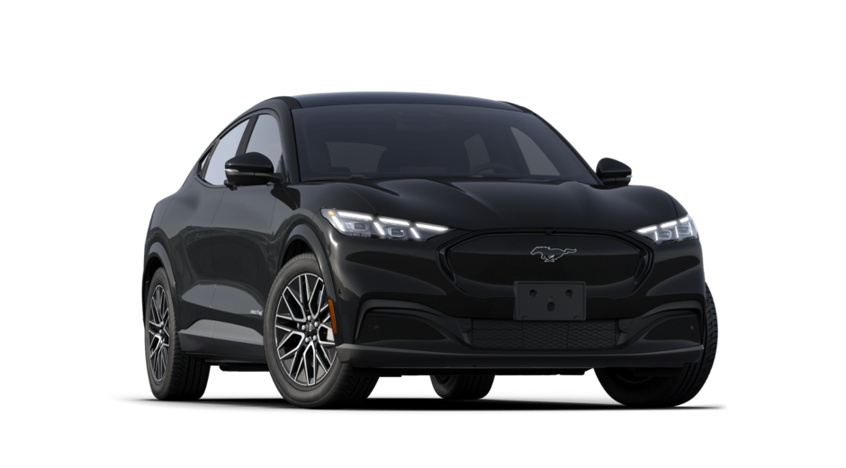 2025 Ford Mache Premium-3