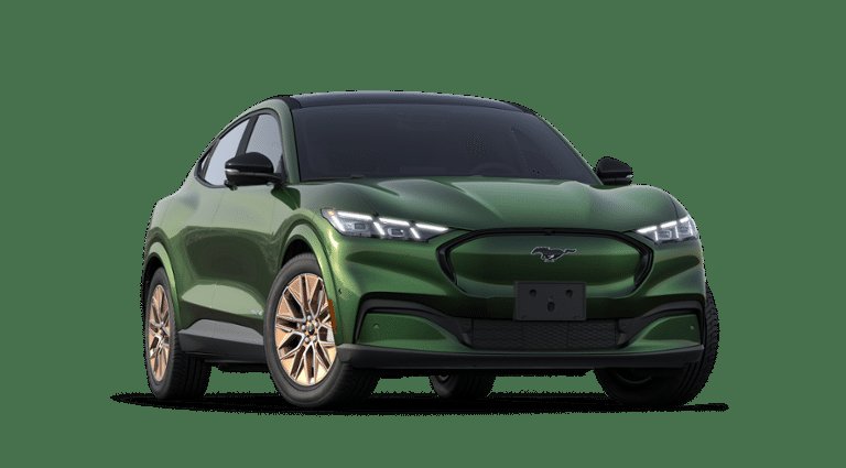 2025 Ford Mustang Mach-E Premium-3