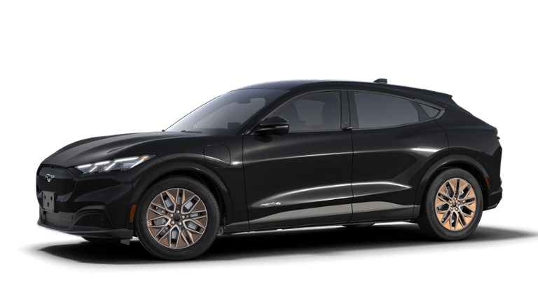 2025 Ford Mustang Mach-E Premium-0
