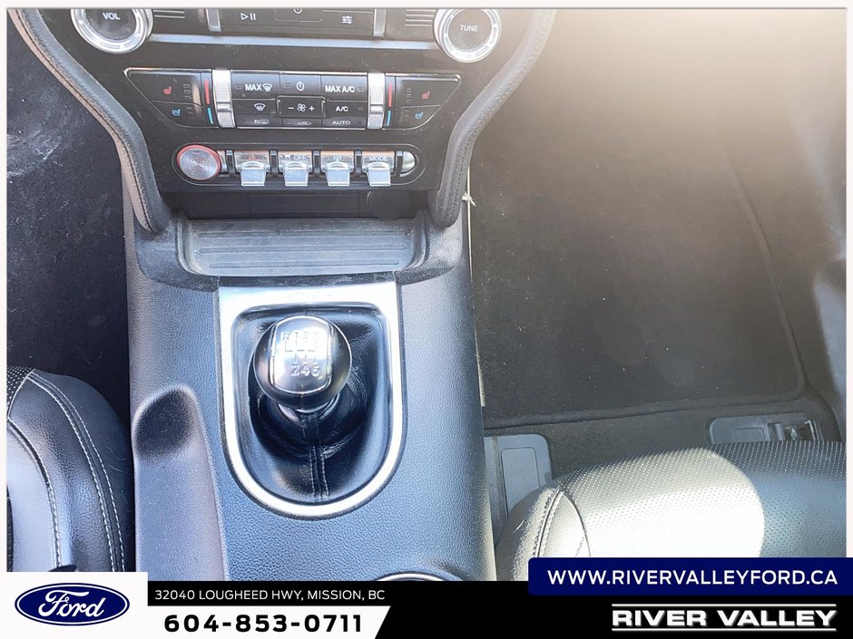 2019 Ford Mustang GT Premium-9