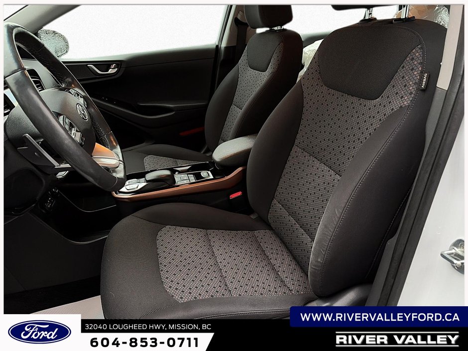 2019 Hyundai Ioniq Electric Base-6