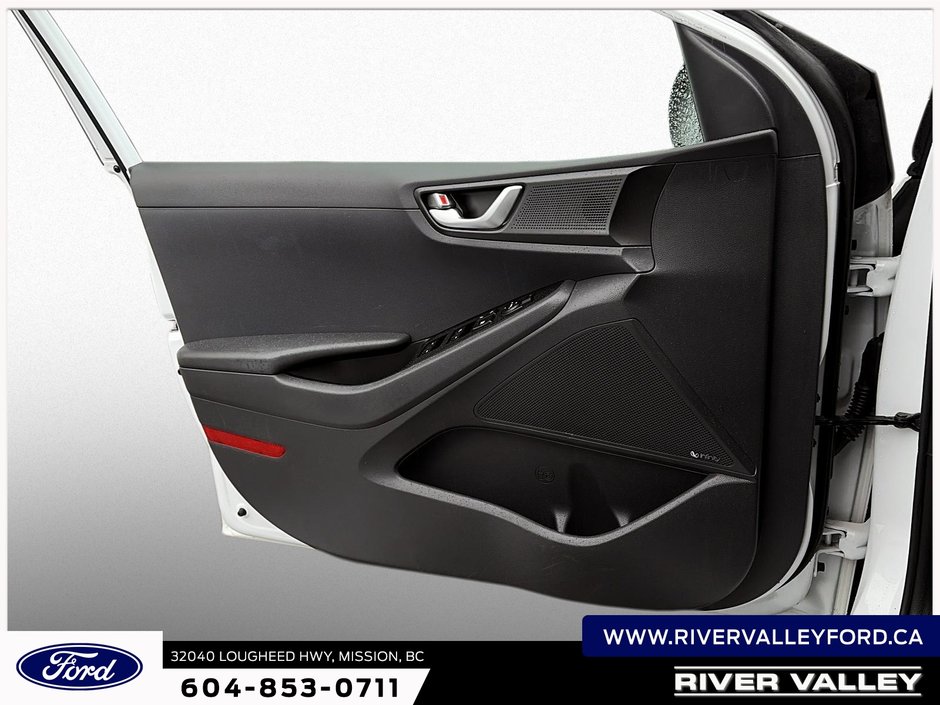 2019 Hyundai Ioniq Electric Base-8