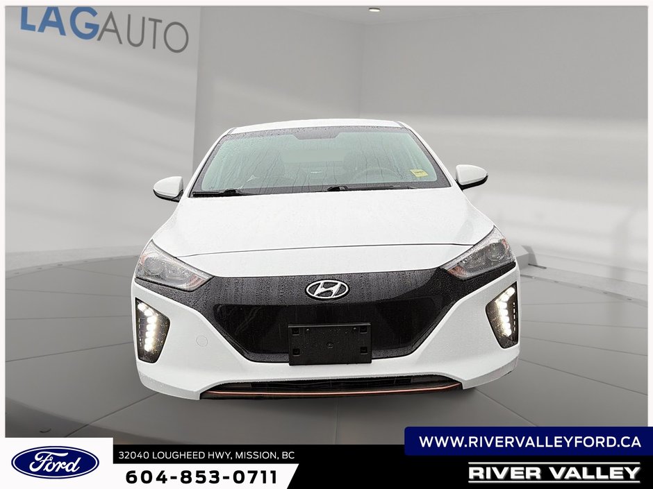 2019 Hyundai Ioniq Electric Base-1