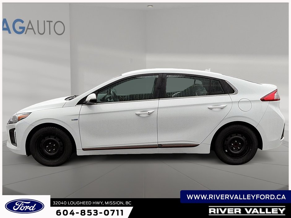 2019 Hyundai Ioniq Electric Base-4