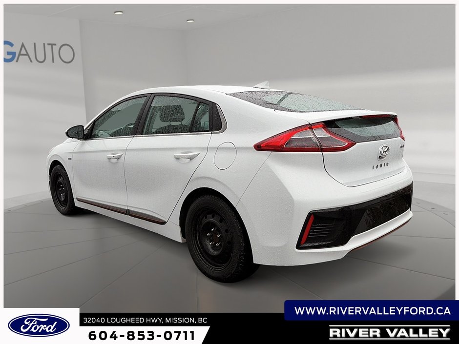2019 Hyundai Ioniq Electric Base-3