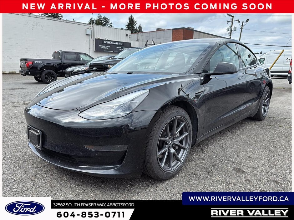 2021 Tesla MODEL 3 Standard Range Plus-0