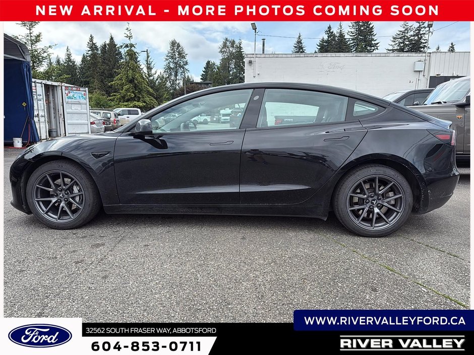 2021 Tesla MODEL 3 Standard Range Plus-3