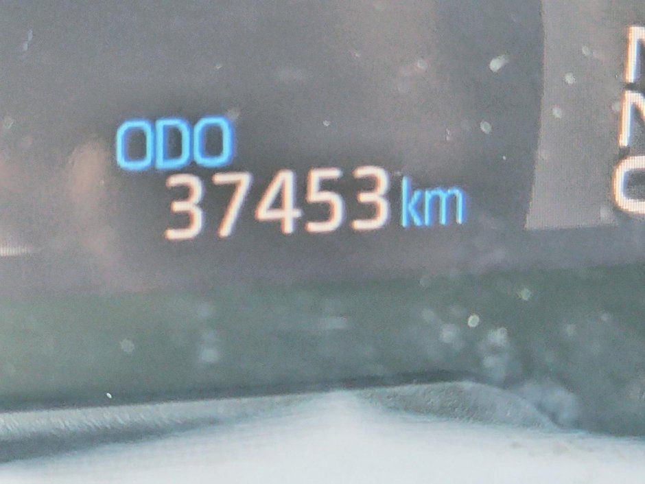 Toyota RAV4 Limited 2019-11