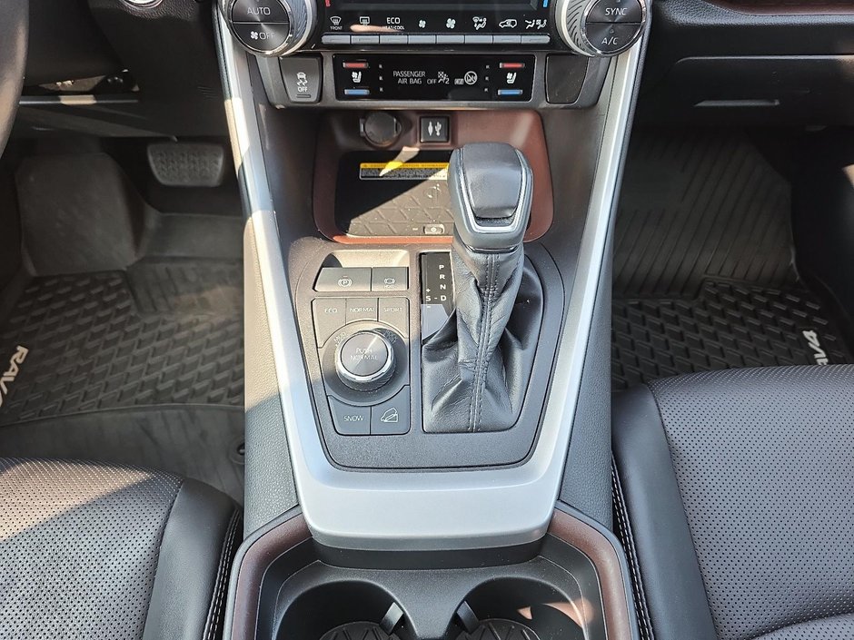 Toyota RAV4 Limited 2019-13