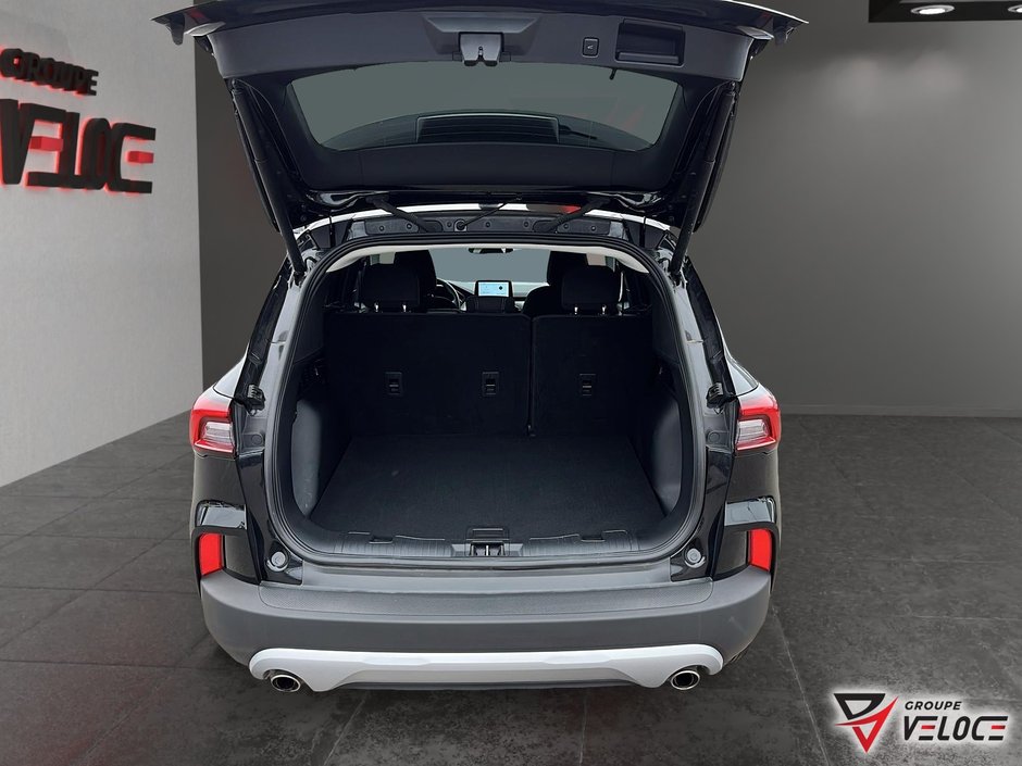 Ford Escape Active 2024-5