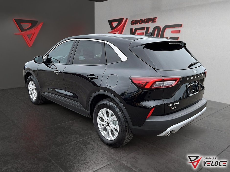Ford Escape Active 2024-3