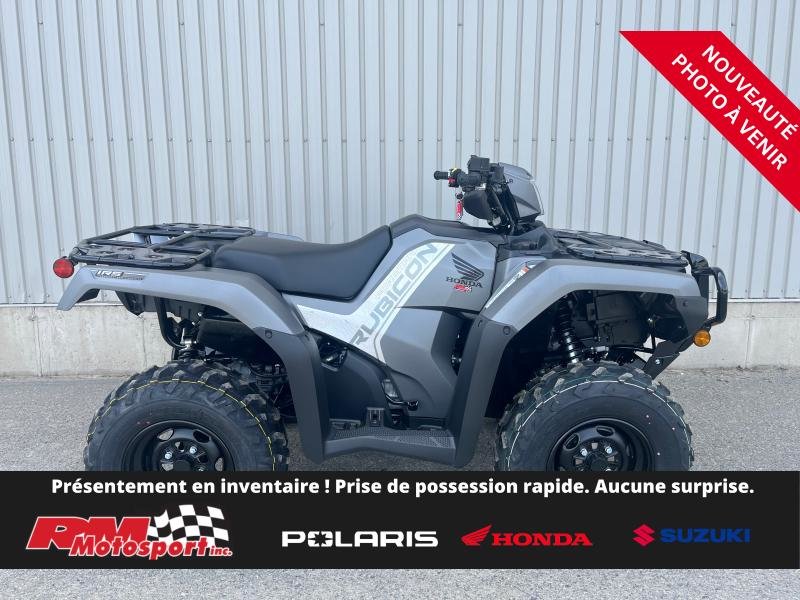 2025 Honda Rubicon IRS EPS