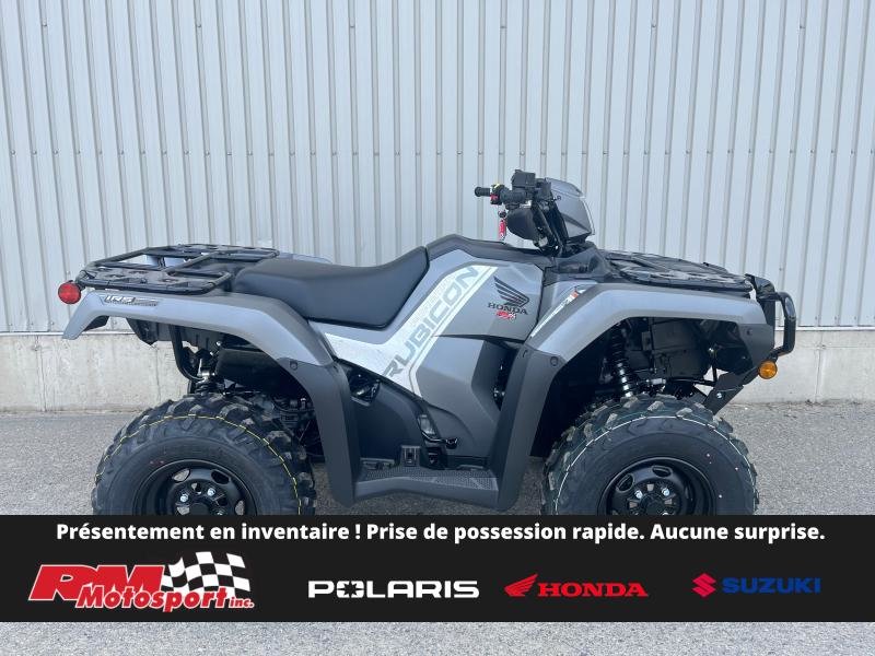 2025 Honda Rubicon IRS EPS