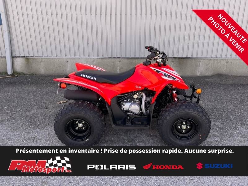 2025 Honda TRX90XS
