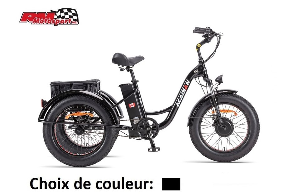 2023 Slane ACADIAN Vélo électrique 3 roues 48Volts 500W